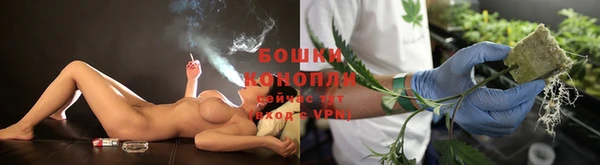 прущая мука Гусиноозёрск