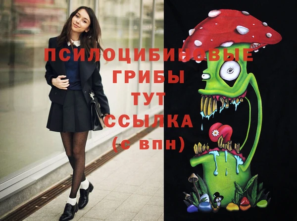 прущая мука Гусиноозёрск