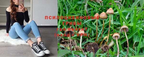 кокаин VHQ Гусев