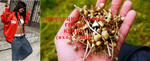 кокаин VHQ Гусев