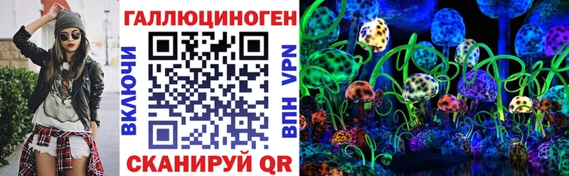 Купить где Кудрово Псилоцибиновые грибы Cubensis